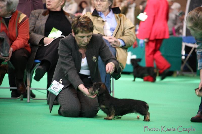 Crufts2011_2 984.jpg